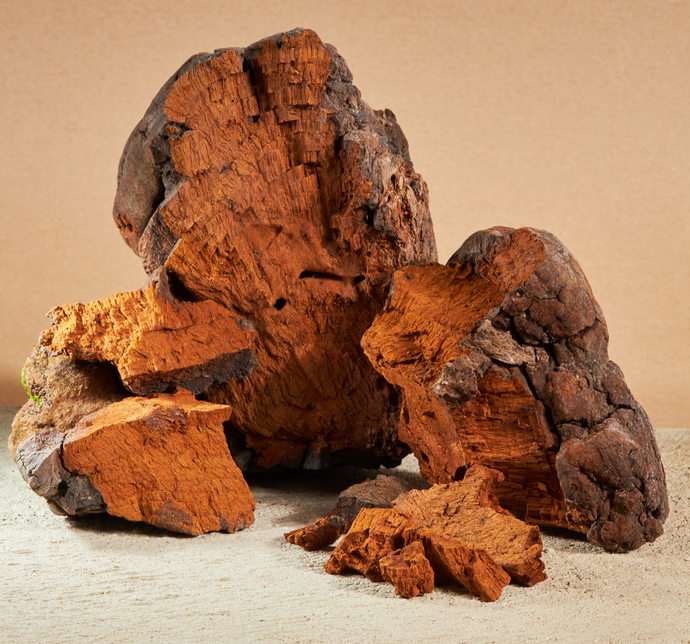 Top 3 Benefits of Chaga