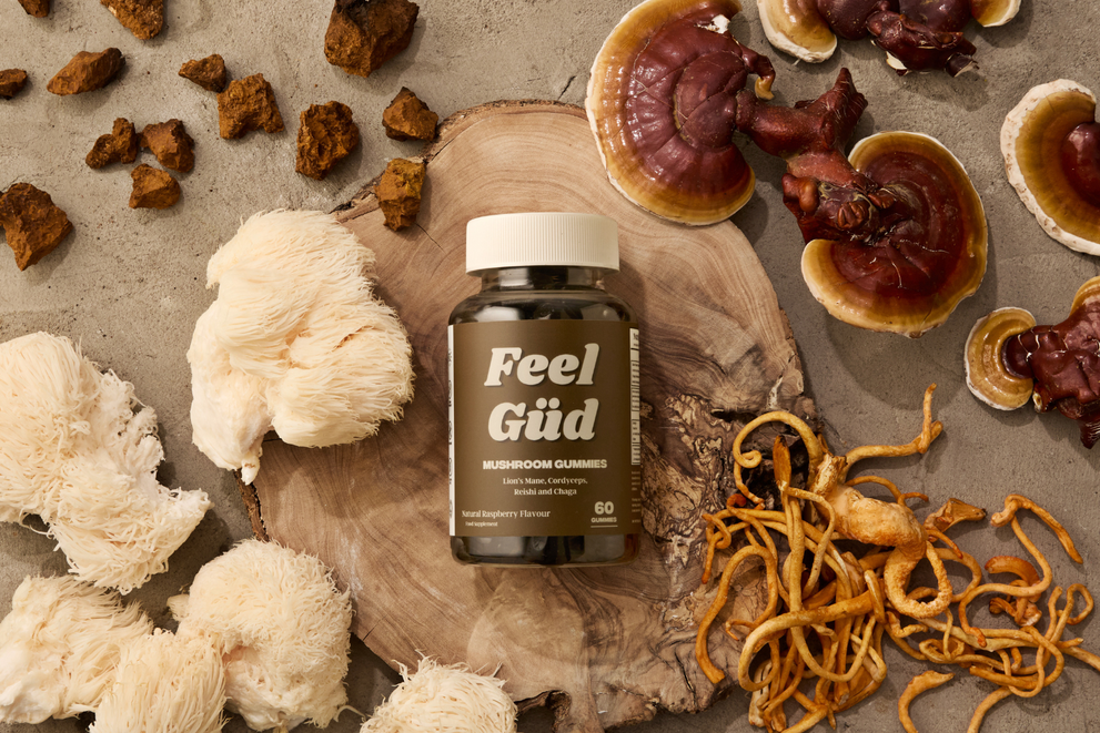Cordyceps Benefits