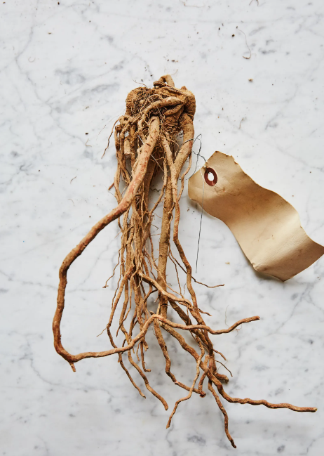 What does ashwagandha do? - Feel Güd